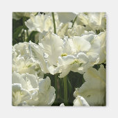 Tulpt het witte magneet (Voorkant)