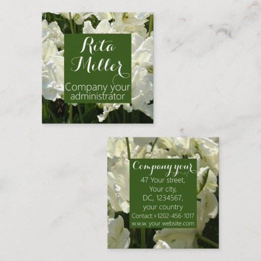 Tulpt het witte vierkante visitekaartje (Voorkant / Achterkant)