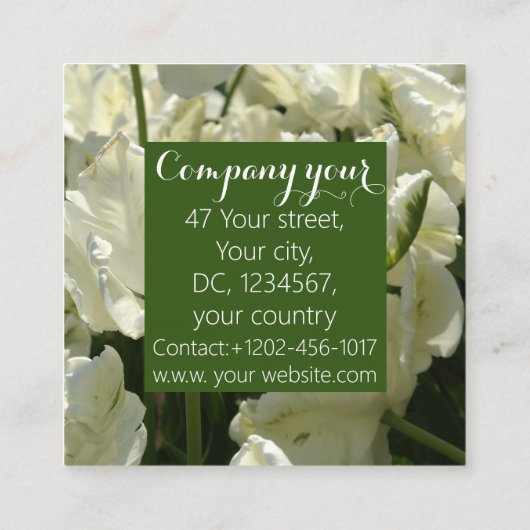 Tulpt het witte vierkante visitekaartje (Achterkant)
