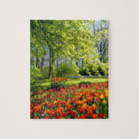 Tulptijd, tuinen bij Keukenhof