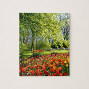 Tulptijd, tuinen bij Keukenhof Legpuzzel