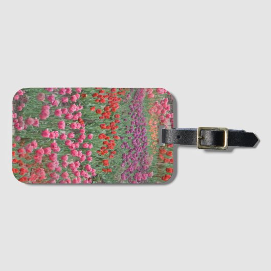 Tulpveld Bagagelabel (Voorkant (horizontaal))