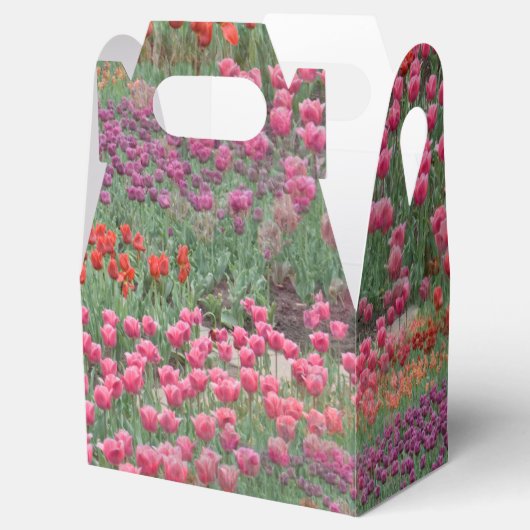 Tulpveld Bedankdoosjes (Geopend)