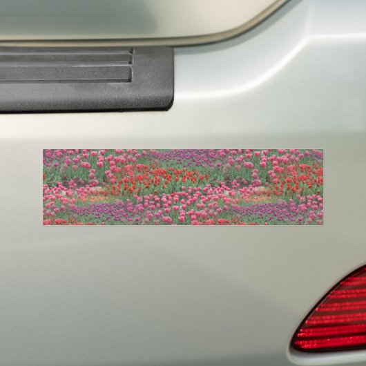 Tulpveld Bumpersticker (Op auto)