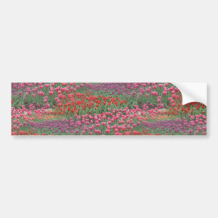 Tulpveld Bumpersticker