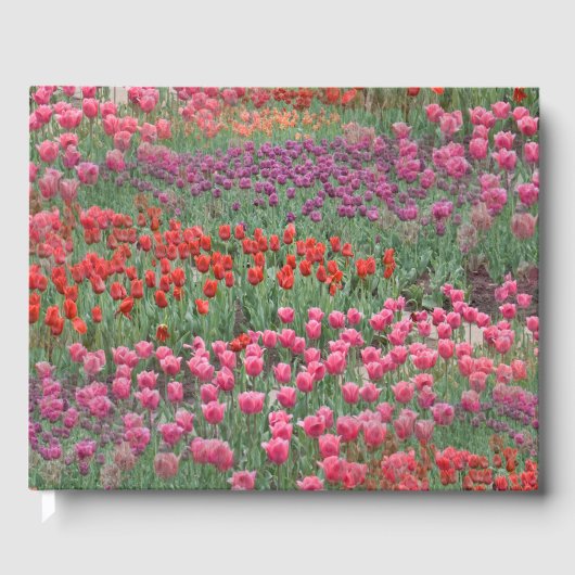Tulpveld Gastenboek (Voorkant)
