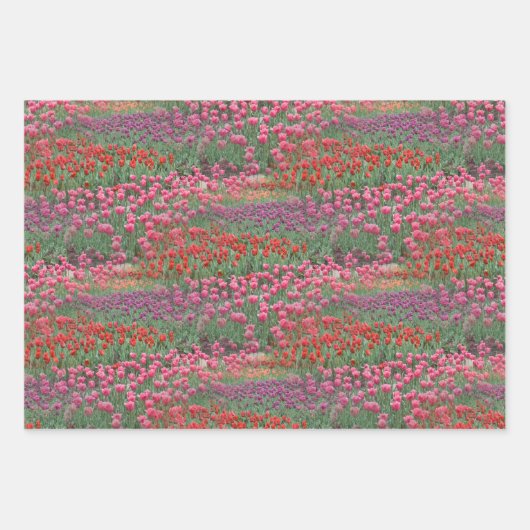 Tulpveld Inpakpapier Vel (Voorkant 3)