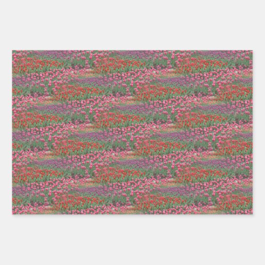 Tulpveld Inpakpapier Vel (Voorkant 2)