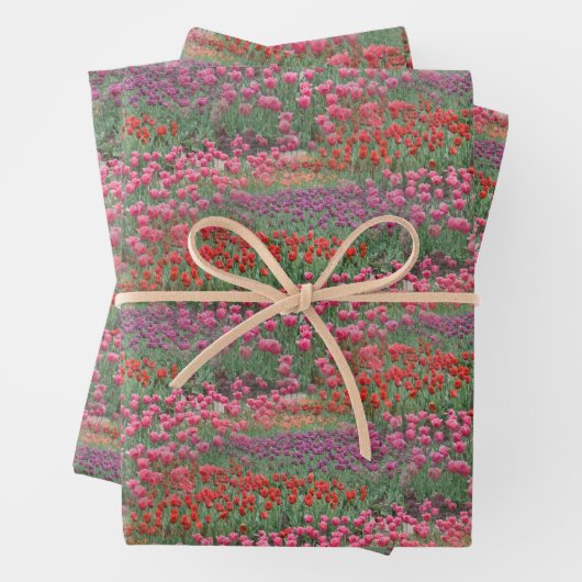 Tulpveld Inpakpapier Vel (In situ)