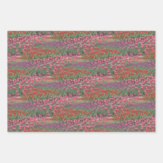 Tulpveld Inpakpapier Vel (Voorkant)
