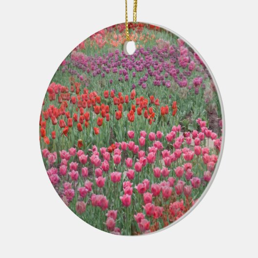 Tulpveld Keramisch Ornament (Links)