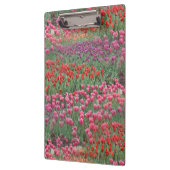 Tulpveld Klembord (Links)