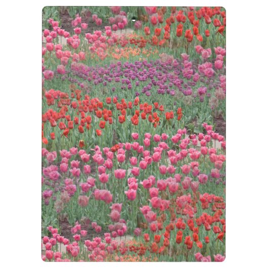 Tulpveld Klembord (Achterkant)