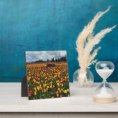 Tulpveld met oude tractor, oregon fotoplaat (Insitu)