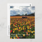 Tulpveld met oude trekker, oregon-Briefkaart Briefkaart (Voorkant / Achterkant)