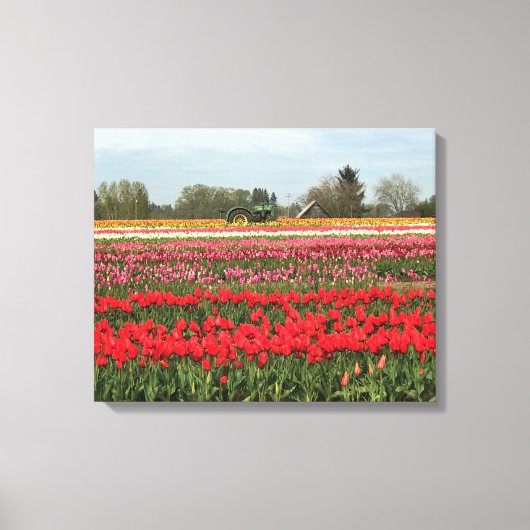 Tulpveld met trekker en schuur canvas afdruk (Voorkant)