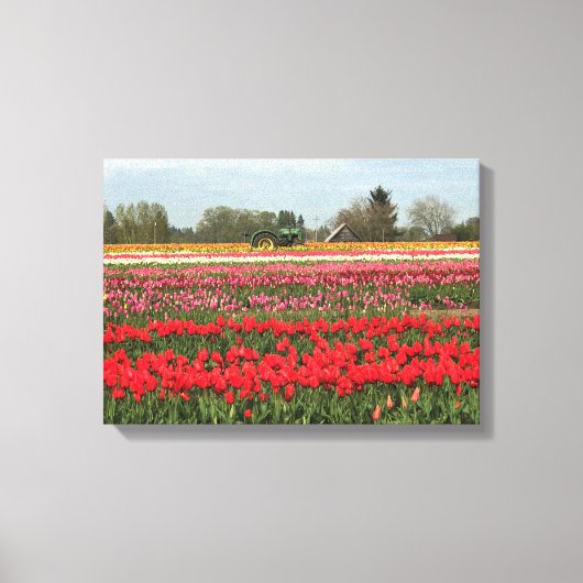 Tulpveld met trekker en schuur canvas afdruk (Voorkant)
