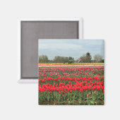 Tulpveld met trekker en schuur magneet (Voorkant / Achterkant)
