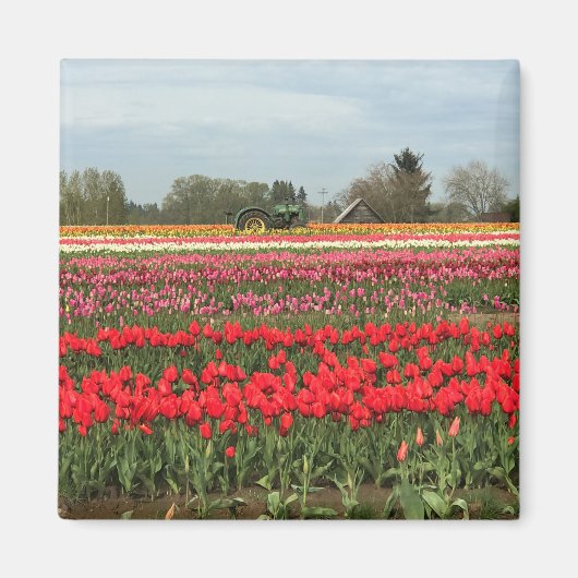 Tulpveld met trekker en schuur magneet (Voorkant)