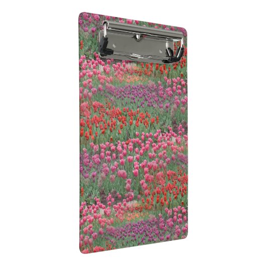 Tulpveld Mini Klembord (Schuin)