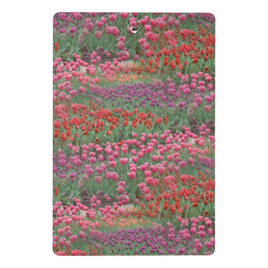 Tulpveld Mini Klembord (Achterkant)