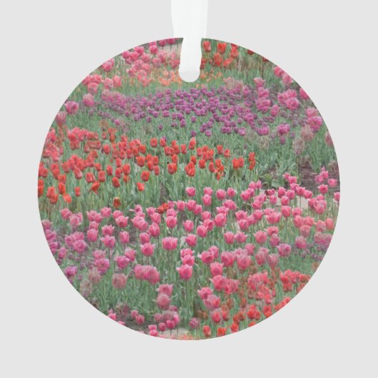 Tulpveld Ornament (achterkant)