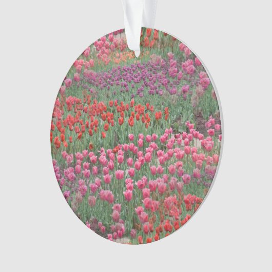 Tulpveld Ornament (voorkant)