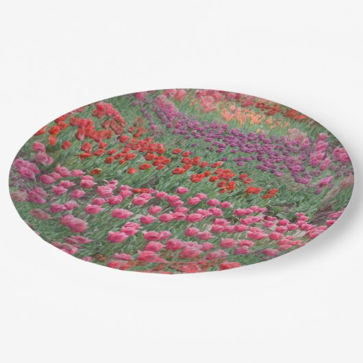 Tulpveld Papieren Bordje (Gekanteld)
