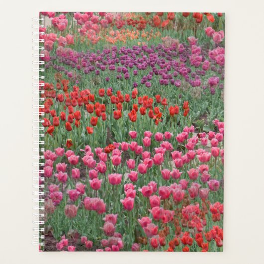 Tulpveld Planner (Voorkant)