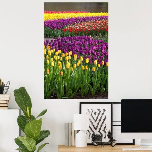 Tulpveld Poster (Thuiskantoor)