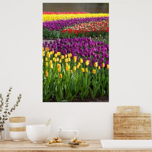 Tulpveld Poster (Keuken)