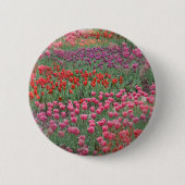 Tulpveld Ronde Button 5,7 Cm (Voorkant)