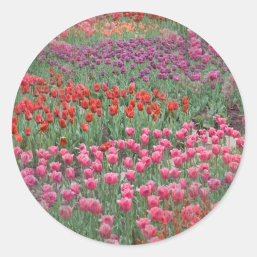 Tulpveld Ronde Sticker (Voorkant)