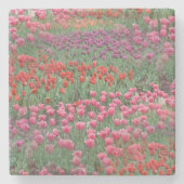 Tulpveld Stenen Onderzetter (Voorkant)