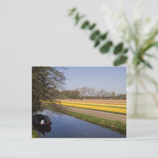 Tulpvelden Briefkaart (Staand voorkant)