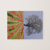 Tulpvelden en eeneiken in de buurt legpuzzel (Horizontaal)