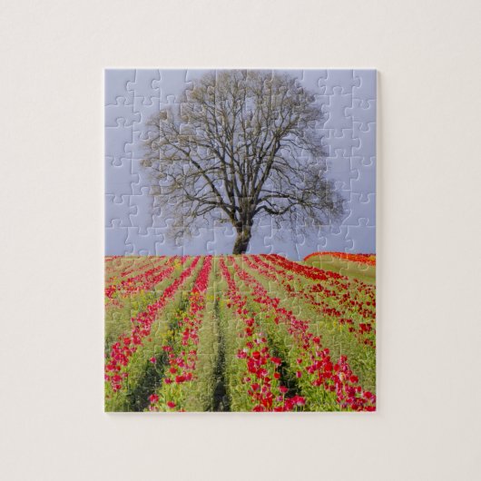 Tulpvelden en eeneiken in de buurt legpuzzel (Verticaal)
