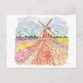 Tulpvelden in het Briefkaart van de Nederlandse Wa (Voorkant)