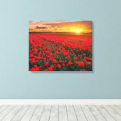 Tulpvelden op zonsondergang in Nederland Canvas Afdruk (Insitu (Houten vloer))
