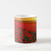 Tulpvelden op zonsondergang in Nederland Koffiemok (Center)