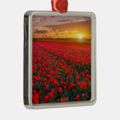 Tulpvelden op zonsondergang in Nederland Metalen Ornament (Rechts)