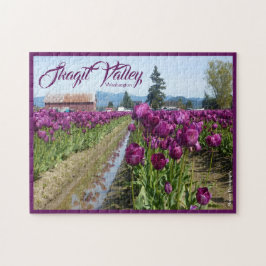 Tulpvelden (Paars) en schuur (Skagit-vallei) Legpuzzel