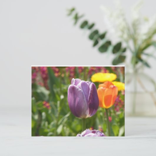 Tulpventiel Briefkaart (Staand voorkant)