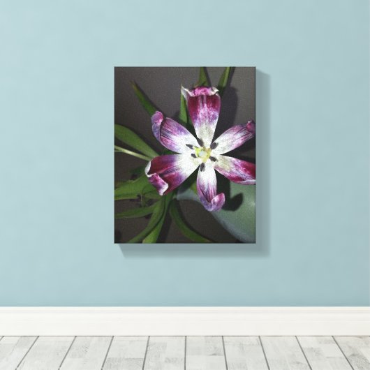 Tulpventiel Canvas Afdruk (Insitu (Houten vloer))