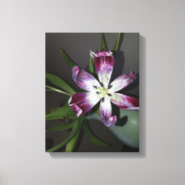 Tulpventiel Canvas Afdruk