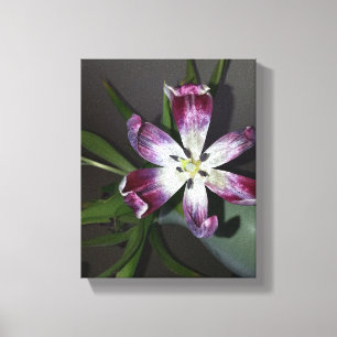 Tulpventiel Canvas Afdruk