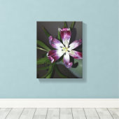 Tulpventiel Canvas Afdruk (Insitu (Houten vloer))