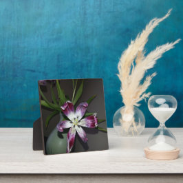 Tulpventiel Fotoplaat