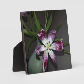 Tulpventiel Fotoplaat (Voorkant)