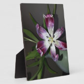 Tulpventiel Fotoplaat (Zijkant)